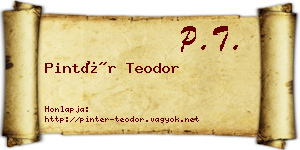 Pintér Teodor névjegykártya