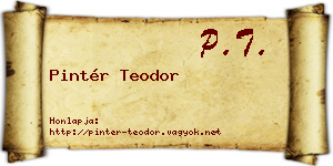 Pintér Teodor névjegykártya